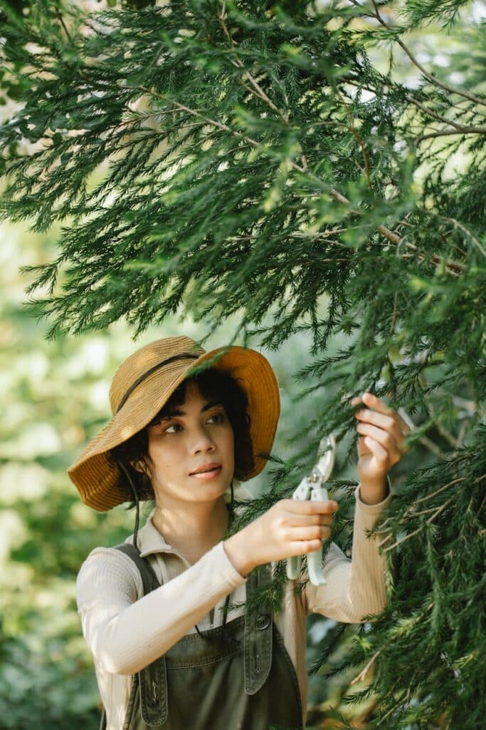 tree trimming techniques