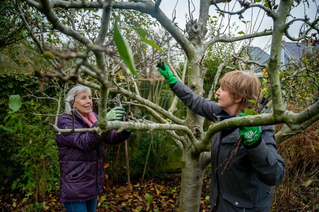 tree pruning near me