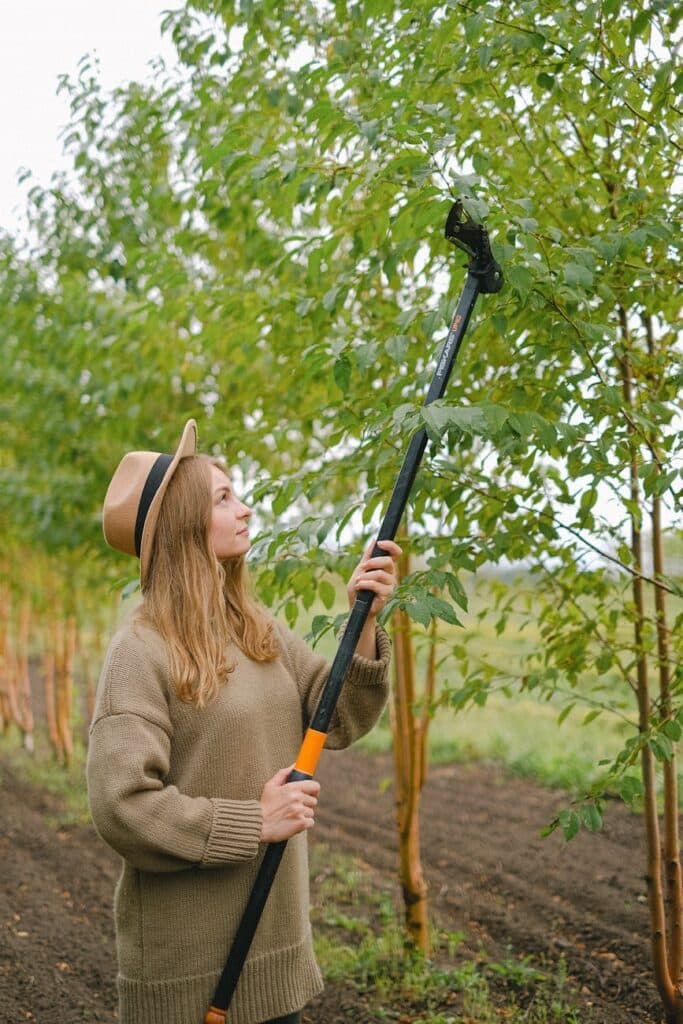 tree pruning tools