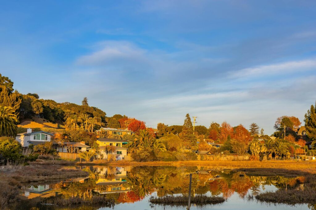 residential land clearing services